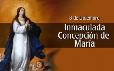 ¡Feliz Solemnidad de la Inmaculada Concepción!
