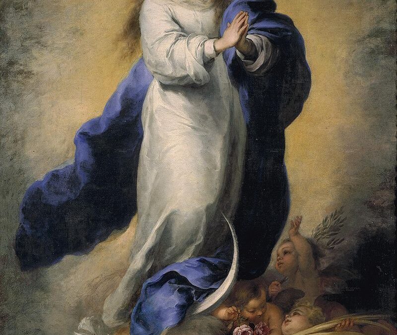 ¡Feliz Solemnidad de la Inmaculada Concepción!