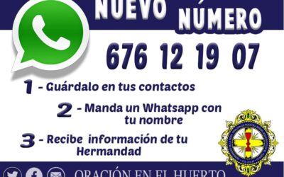 Nuevo número de WhatsApp